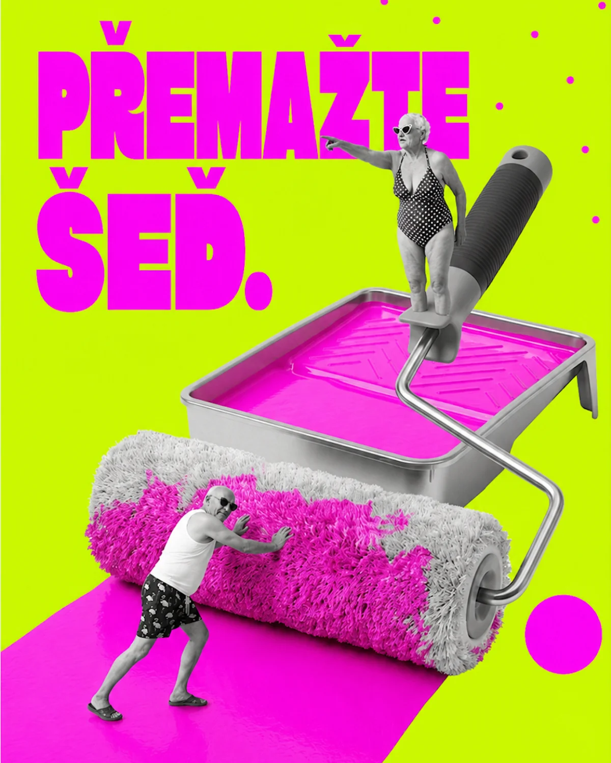 Přemažte šeď
